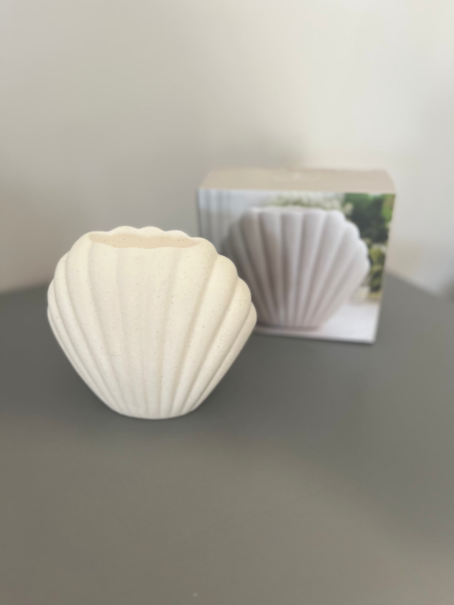 Chauffe-cire Nautical Seashell